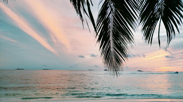 Découvrez les trésors des riads à marrakech avec piscine
